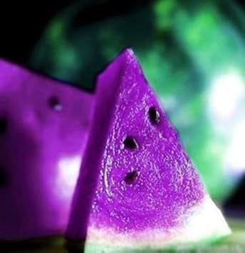 Purple Watermelon Fruit Seeds for Planting - Unique, Sweet, and Refreshing for Your Garden