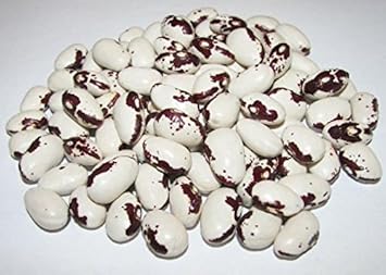 Black & White Troot Bean Seeds for Planting