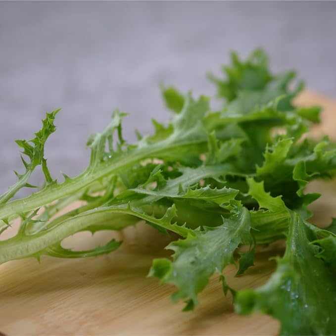 Mizuna Japanese Mustard Greens Seeds – Heirloom, Fast-Growing, Cold Hardy, Asian Leafy Vegetable