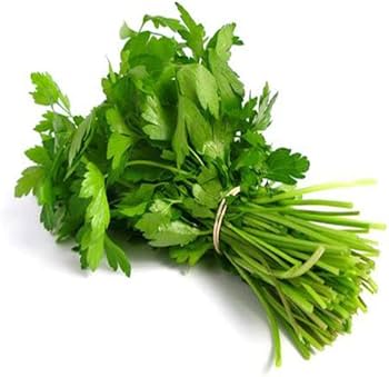 Green Coriander Vegetable Seeds for Planting