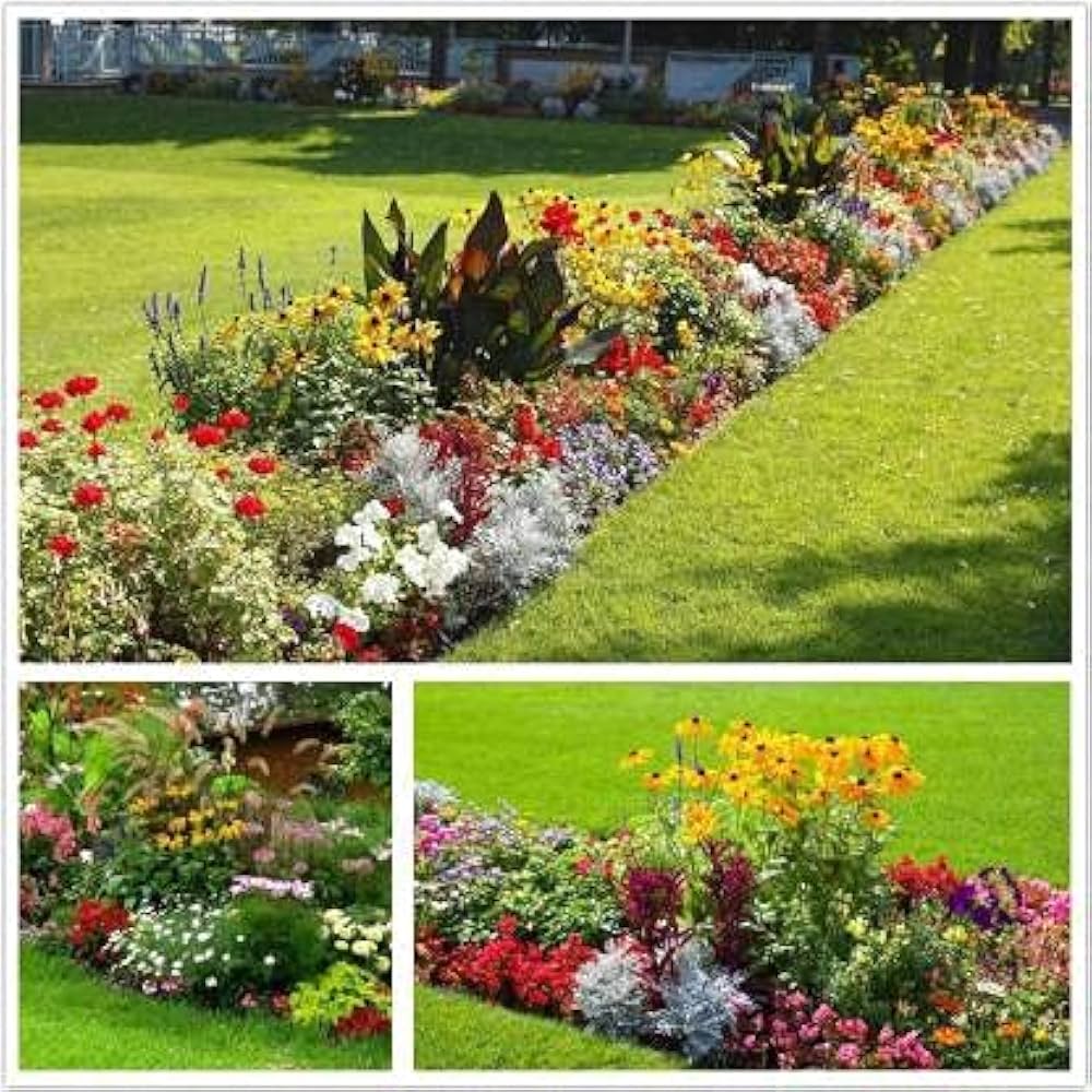mixed flower flower seeds