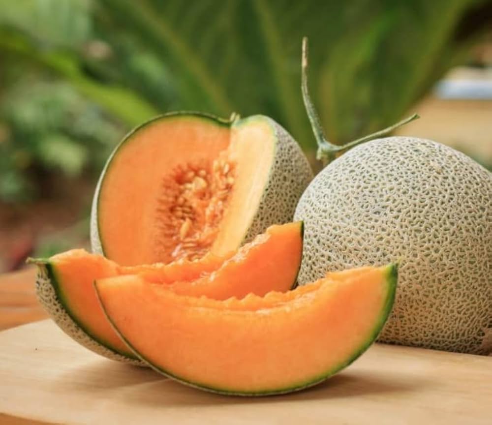 Muskmelon Fruit Seeds for Planting - Sweet and Refreshing Melons for Your Garden, Heirloom & GMO Free Seeds