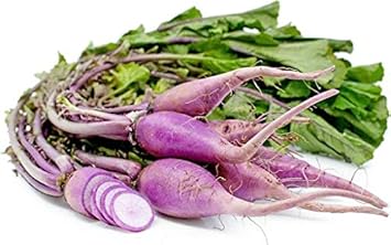 Radish Seeds for Planting White | Heirloom Non-GMO Organic Garden Seeds | High Germination Seeds