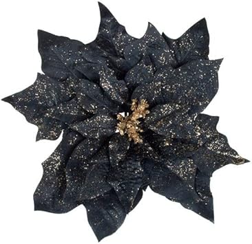 Flower Seeds, Seeds for Planting, Plant Seeds