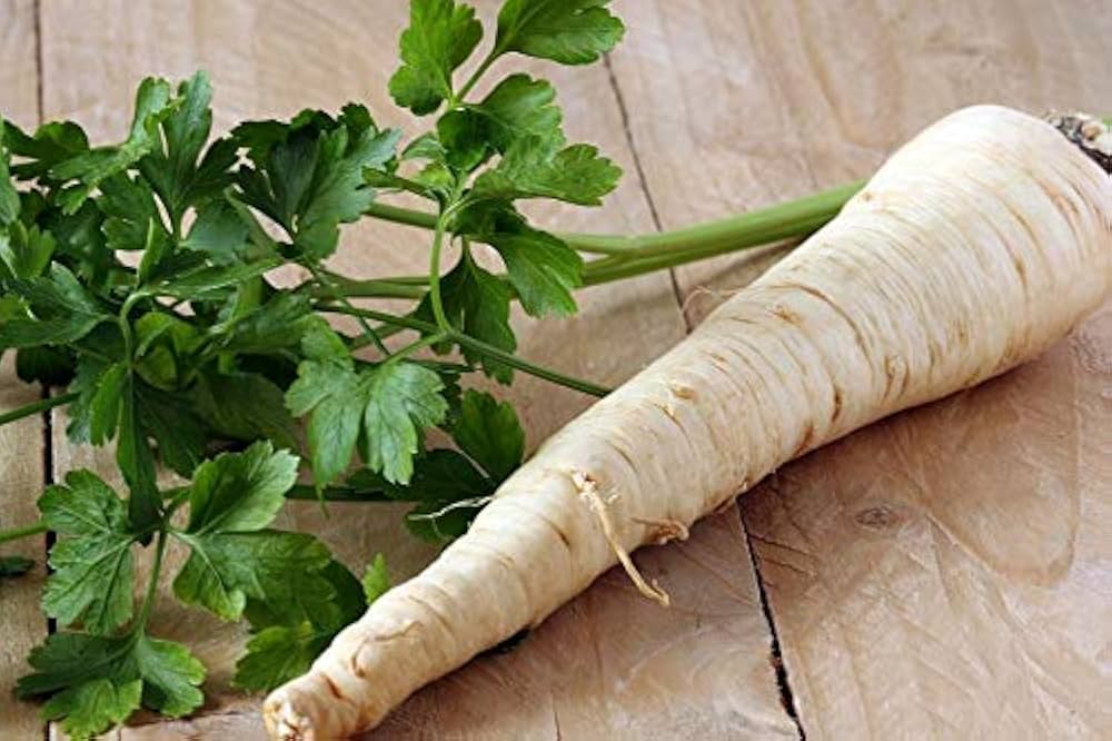 parsley root flower seeds