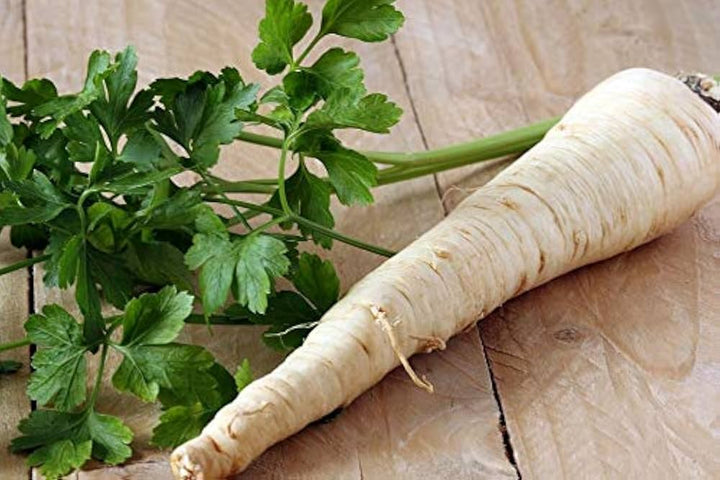 Parsley Root Vegetable For Planting Flower Seeds for Home Garden Planting, Colorful Organic