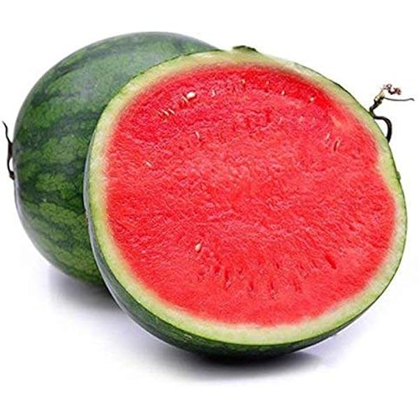 Rare Chinese Watermelon Bonsai Or Home Garden Flower Seeds Home Garden Planting, Ornamental