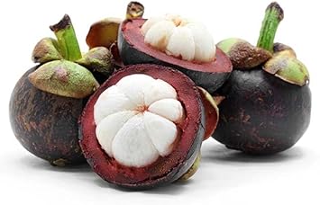 planting mangosteen seeds Black Mission Fig Seeds – Heirloom Non-GMO Fruit Seeds for Garden Planting 100 pcs