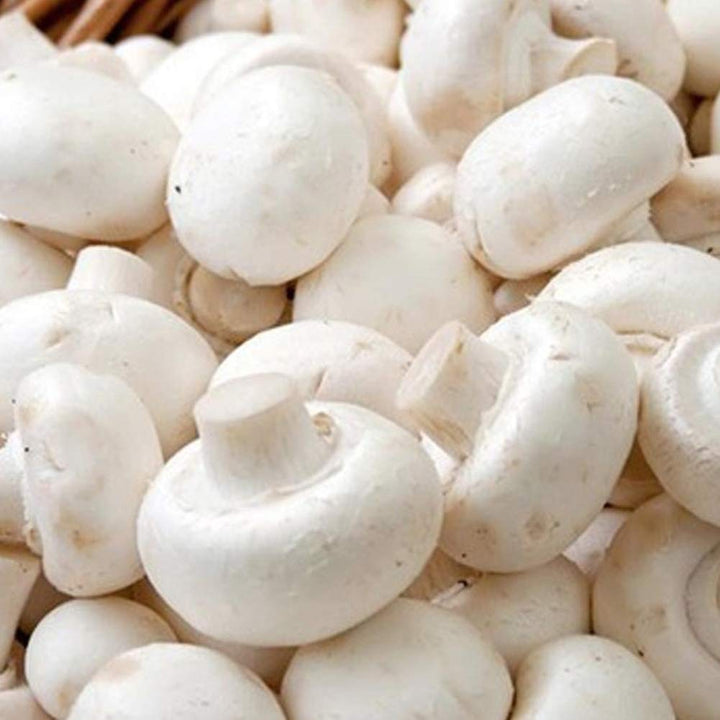 White Mushroom Button Vegetable Seeds for Planting heirloom & Non-GMO Seeds