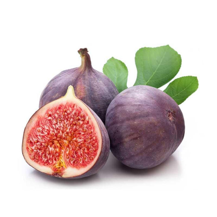 Poona Fig Seeds for Planting – Heirloom, Non-GMO Fruit Seeds