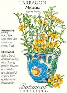 Organic Heirloom Non-GMO Yellow Mexican Tarragon Seeds for Planting