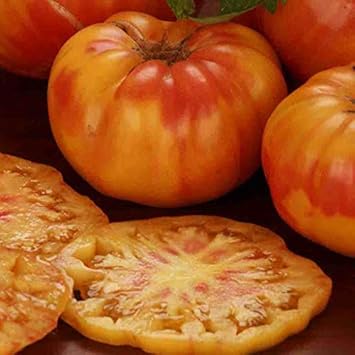 Light Orange Big Tomato Seeds for Planting