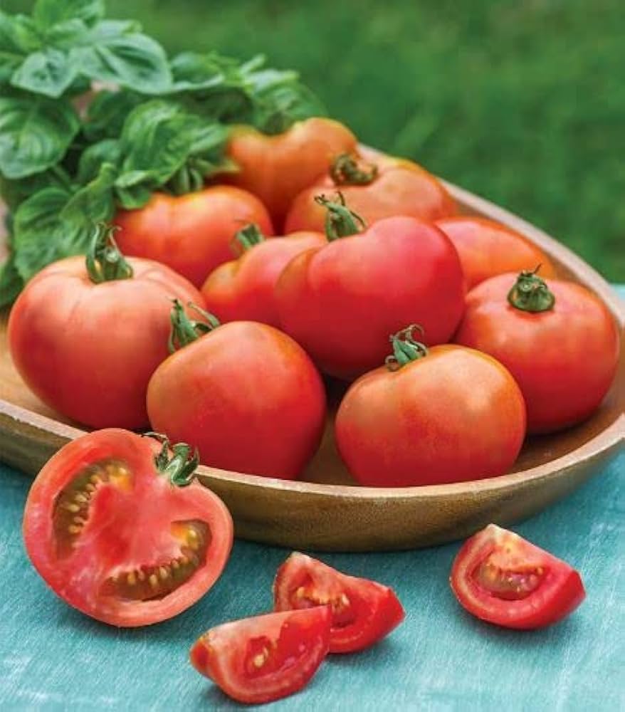 moonglow tomato flower seeds
