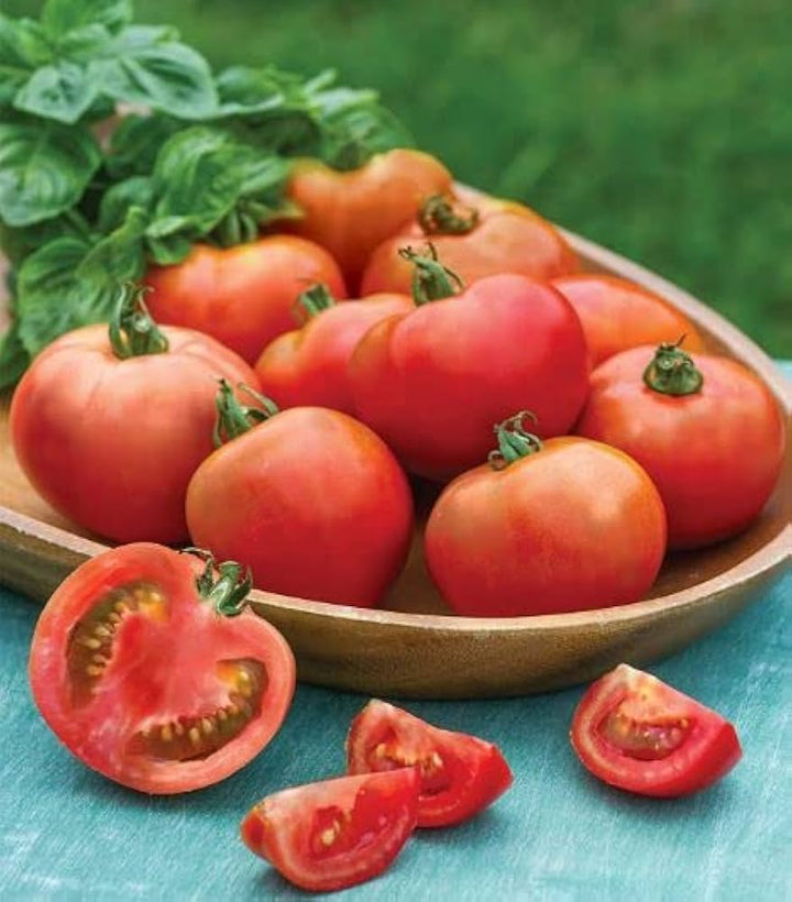 Moonglow Tomato Solanum Lycopersicum Vegetable For Planting In Vegetable Patch Flower Seeds for