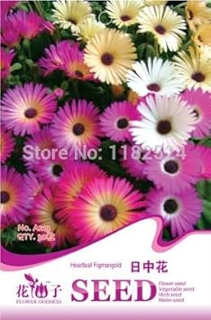 Flower Seeds, Seeds for Planting, Plant Seeds