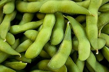 Green Edamame Soybean Seeds for Planting