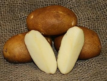 Brown Potatoes Vegetable Seeds for Planting