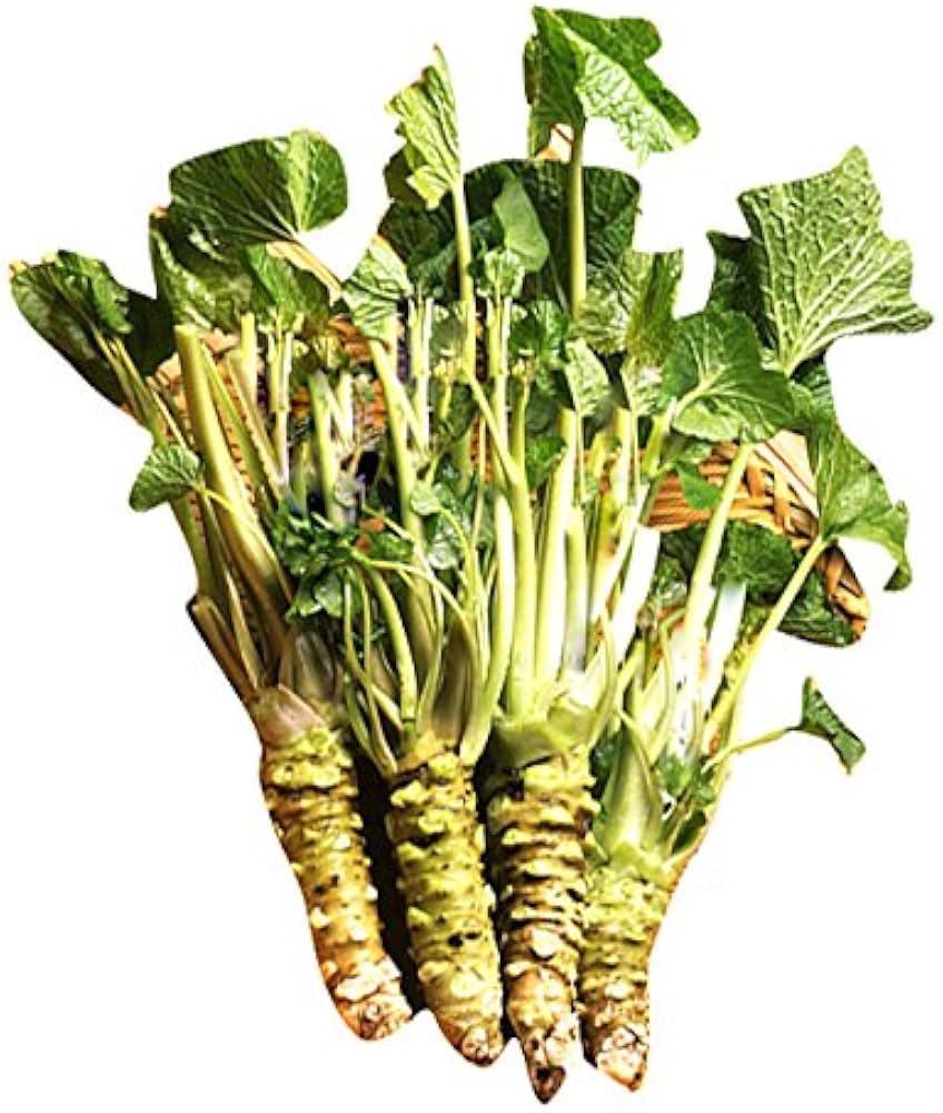 Horseradish Wasabia Vegetable Seeds for Planting - 100 pcs