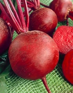 Red Beet Seeds for Planting