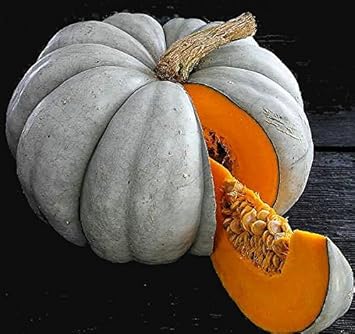 Grey Pumpkin Vegetable Seeds for Planting