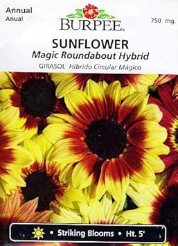 Flower Seeds, Seeds for Planting, Plant Seeds