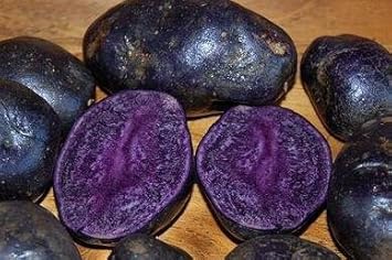 Purple Batatas Potato Vegetable Seeds for Planting