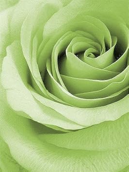 green light flower seeds