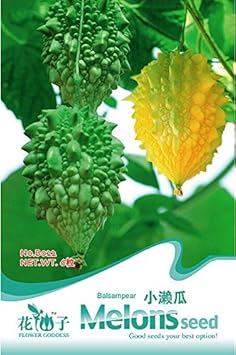 Vegetable Seeds, Seeds for Planting, Plant Seeds