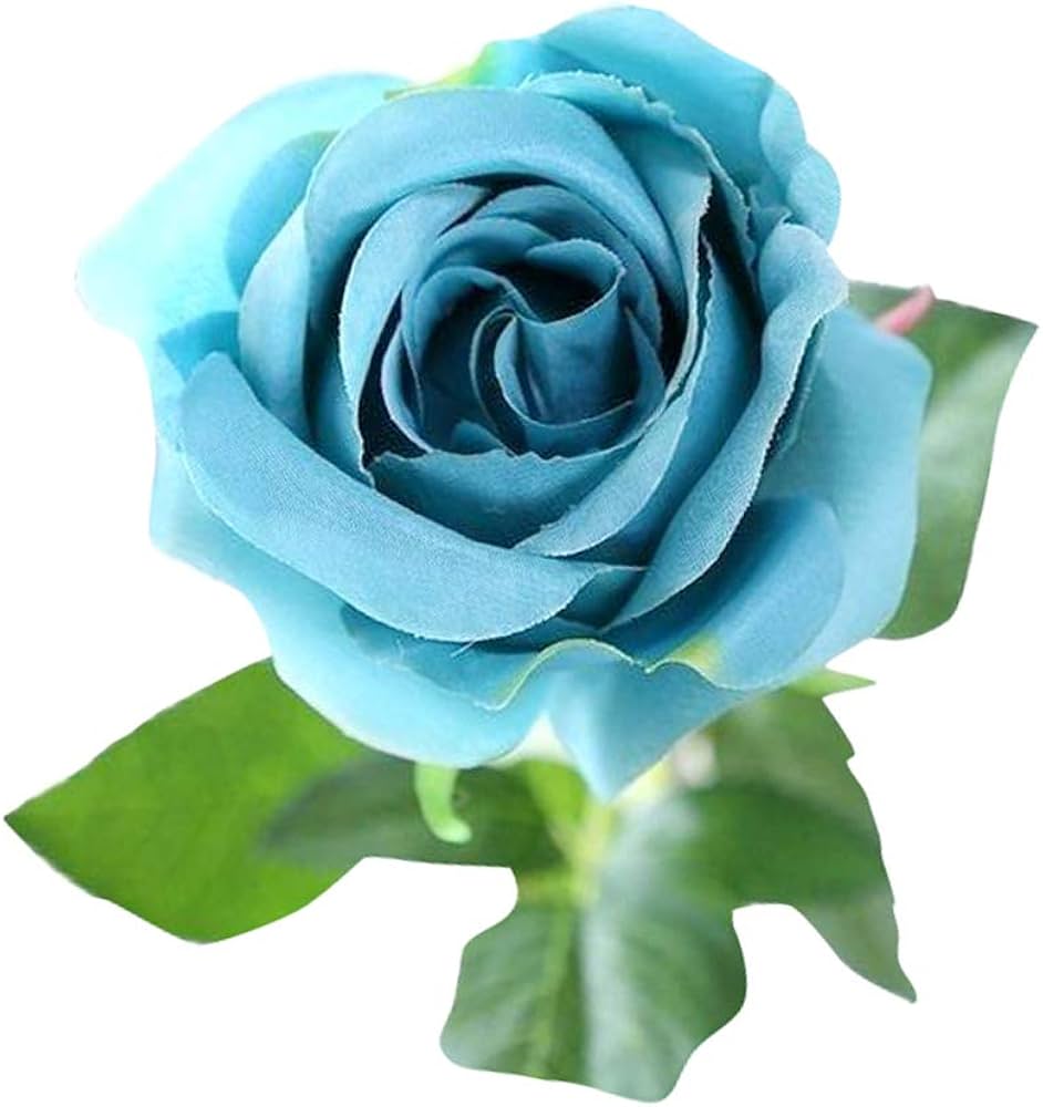 mint green rose seeds Purple & Light Green Rose Heirloom Non-GMO Seeds for Planting – High G – Neeraseeds