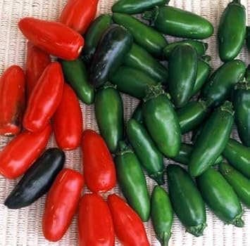 Mix Serrano Chili Seeds for Planting