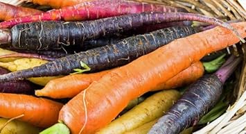 Mixed Carrot Seeds for Planting