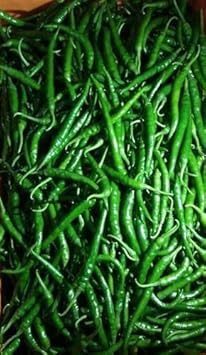 Green Pepper Tree Seeds for Planting