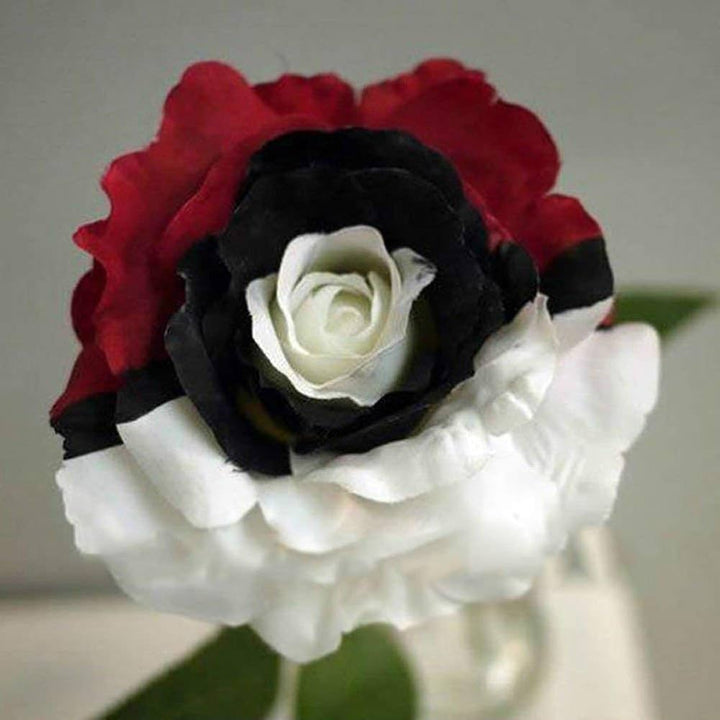 Splendid Rare Red, White, and Black Rose Flower Seeds for Planting – Unique, Non-GMO Seeds