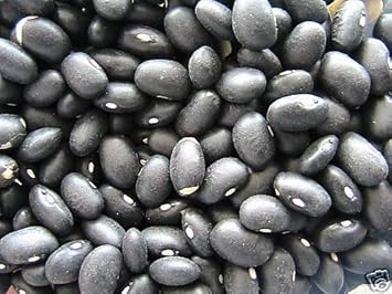 Black Coco Bean Vegetable Seeds