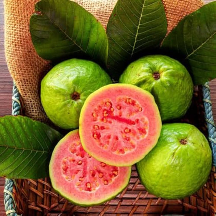 Guava frugtfrø til plantning af tropiske guavaer fulde af smag 100 stk