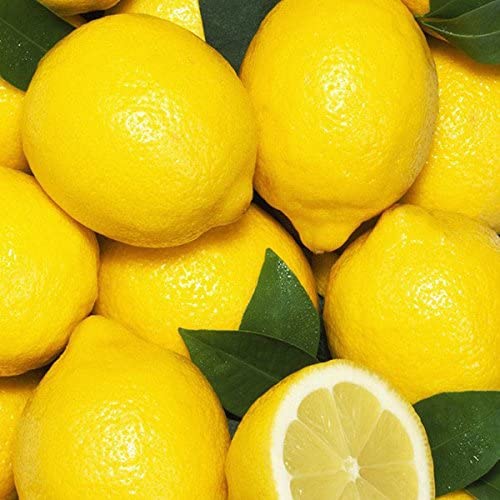 Italian Amalfi Lemon Fruit Seeds for Planting – Heirloom, Non-GMO, High Germination Organic Garden Seeds