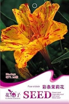 Flower Seeds, Seeds for Planting, Plant Seeds