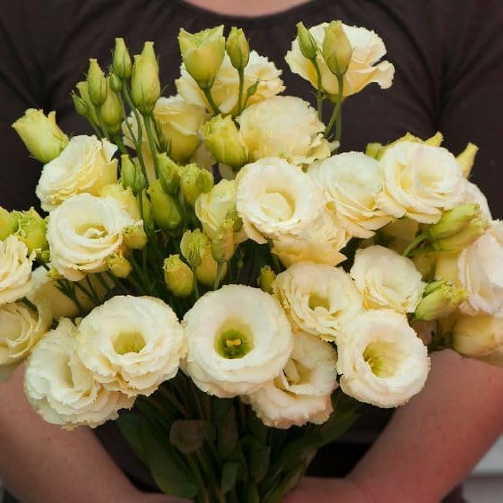 Yellow Lisianthus Flower Seeds for Planting - Heirloom, NON-GMO, Long-Lasting Blooms