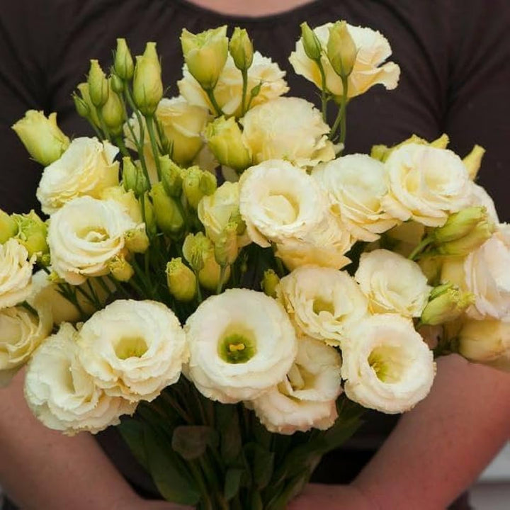 Yellow Lisianthus Flower Seeds for Planting - Heirloom, NON-GMO, Long-Lasting Blooms