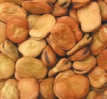 Brown Bean Vegetable Seeds for Planting