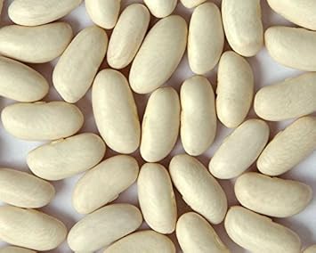 White Cannellini Bean Seeds for Planting