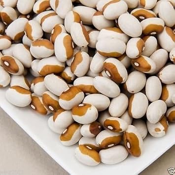Brown White Calypso Bean Seeds for Planting
