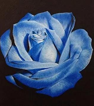 blue light flower seeds