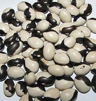 Vegetable Seeds, Seeds for Planting, Plant Seeds