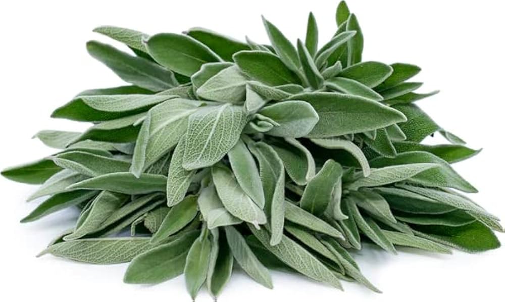 sage flower flower seeds