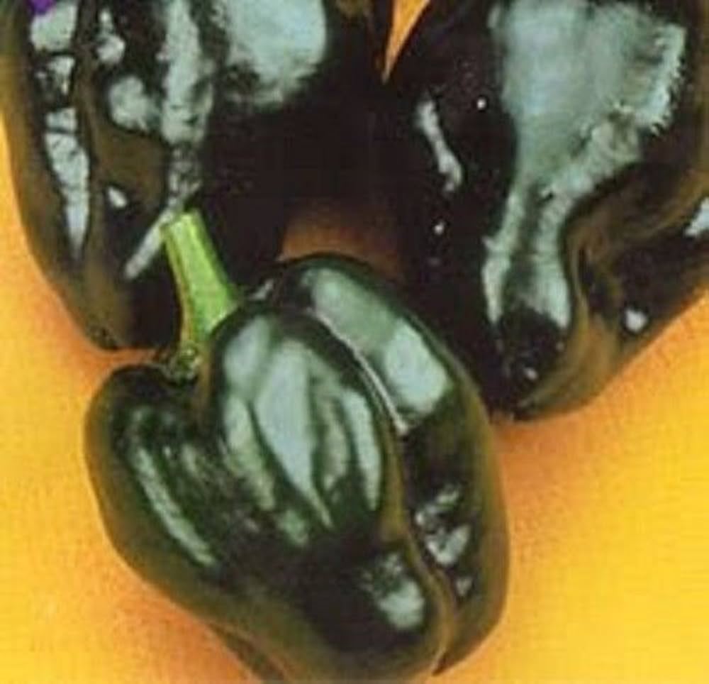 poblano pepper flower seeds