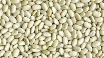 White Bean Seeds for Planting