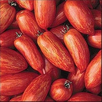 Red Speckle Tomato Seeds for Planting