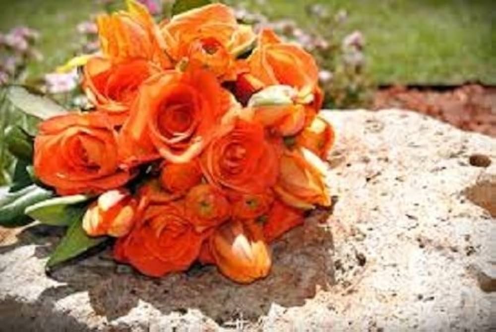 Orange Eustoma or LISIANTHUS Flower Seeds for Planting-Heirloom & Non-GMO Seeds for planting