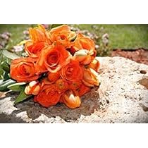 Orange Eustoma or LISIANTHUS Flower Seeds for Planting-Heirloom & Non-GMO Seeds for planting